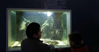 2-Maison-de-la-nature---Aquarium 2-Maison-de-la-nature---Aquarium