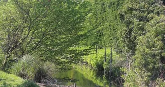 Voie Verte des Viennes © Laetitia Dagard -Troyes Champagne Tourisme (5).JPG Voie Verte des Viennes © Laetitia Dagard -Troyes Champagne Tourisme (5).JPG