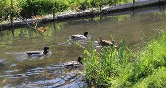 Voie Verte des Viennes © Laetitia Dagard -Troyes Champagne Tourisme (7).JPG Voie Verte des Viennes © Laetitia Dagard -Troyes Champagne Tourisme (7).JPG