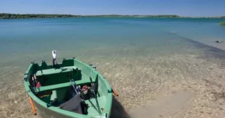 Barque.jpg