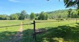 paddocks.jpg