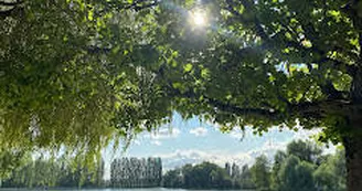 plan d'eau jour.jpg