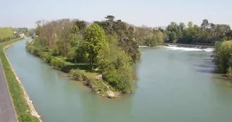 ile olive.JPG ile olive.JPG