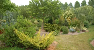 DSC_0025.JPG