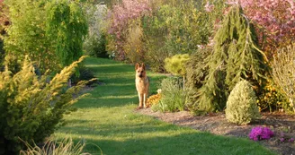 DSC_0169.JPG