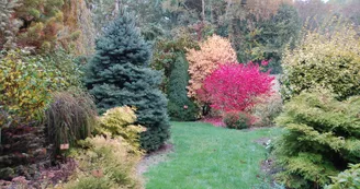 DSC_0243.JPG