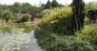 DSCN4927.JPG