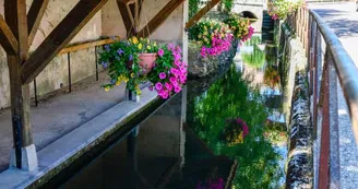 La Noxe (2).jpg La Noxe (2).jpg