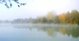 Miroir brumeux - Buridant Marine.jpg Miroir brumeux - Buridant Marine.jpg