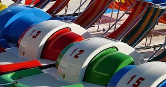 PEDALOS - TLCT.JPG