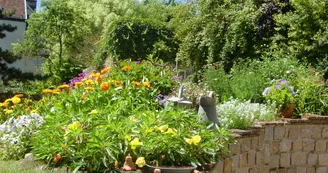 jardin.JPG jardin.JPG