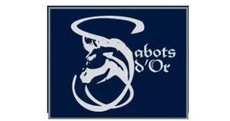 SABOT D OR - EQUITATION MENOIS - TLCT.JPG SABOT D OR - EQUITATION MENOIS - TLCT.JPG