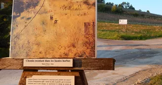 Parcours Renoir Essoyes.JPG