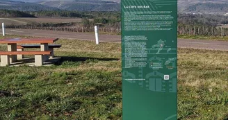Point de vue : Paysage de Champagne.jpg