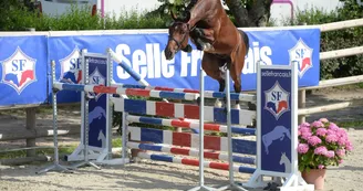 conours males 2 ans cluny photo de Pinel Pauline.jpg conours males 2 ans cluny photo de Pinel Pauline.jpg