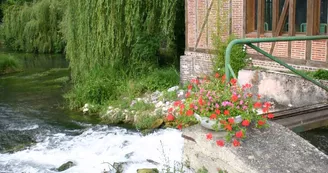 Photo_1.JPG Photo_1.JPG