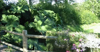 Saint-sauveur-le-vicomte-camping-du-vieux-chateau-4