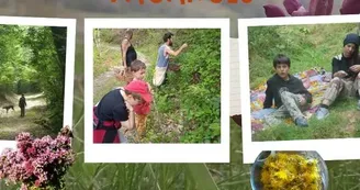 Balades de découverte des plantes sauvages comestibles Balades de découverte des plantes sauvages comestibles