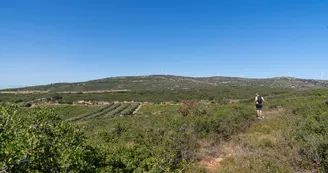 Les collines de la Moure Les collines de la Moure
