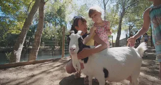 chèvre maman et sa fille chèvre maman et sa fille
