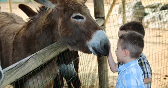 rencontre avec les animaux de la ferme rencontre avec les animaux de la ferme