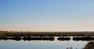 Les salins de Villeroy Les salins de Villeroy