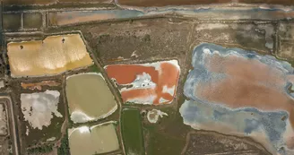 Les salins de Villeroy Les salins de Villeroy