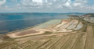 Les salins de Villeroy Les salins de Villeroy
