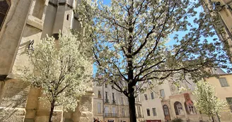 PlaceStRoch©OT3M-M.Remignon