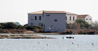 Les anciens salins de Frontignan Les anciens salins de Frontignan