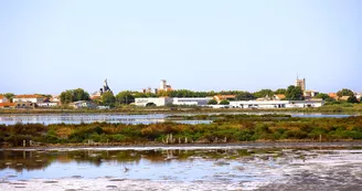 Les anciens salins de Frontignan Les anciens salins de Frontignan