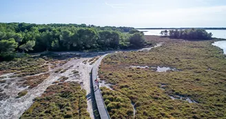 Le bois des Aresquiers Le bois des Aresquiers