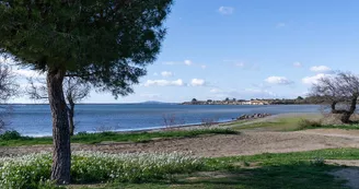La Conque