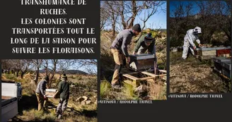 photo more chevalier  4