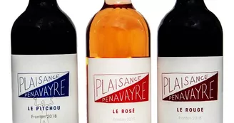domaine plaisance 14 VACQUIERS domaine plaisance 14 VACQUIERS