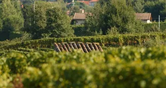 domaine plaisance 5 VACQUIER domaine plaisance 5 VACQUIER