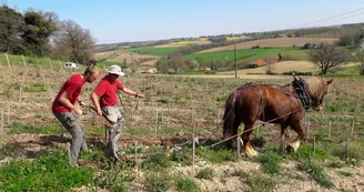 domaine plaisance 9 VACQUIERS domaine plaisance 9 VACQUIERS