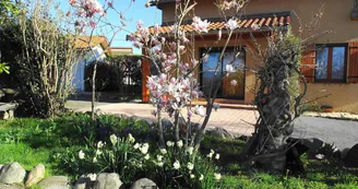 Au-Delà des Cimes Au-Delà des Cimes