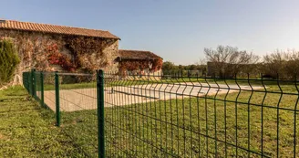 Du Coq à l'Âne Du Coq à l'Âne