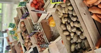 Marché Marché