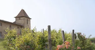 Escons Domaine de Charme Escons Domaine de Charme