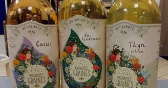 Une belle gamme de boissons pétillantes Une belle gamme de boissons pétillantes