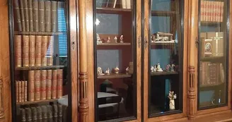 bibliothèque du salon