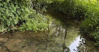 ruisseau ruisseau