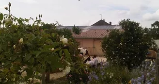 Aux sabots de vent