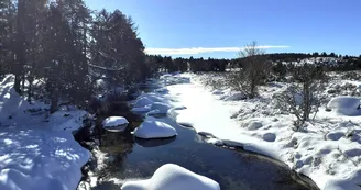 Des balades incroyables toute l'année Des balades incroyables toute l'année