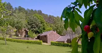 Les Hauts de Saint Privat le temps des cerises Les Hauts de Saint Privat le temps des cerises