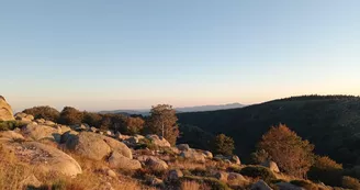 Paysage 1 Paysage 1