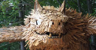 Loup bois portrait