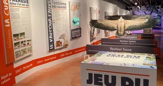 Musée - Jeu du vautour Musée - Jeu du vautour